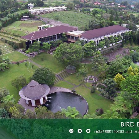 Amaryllis Boutique Resort Paragajen Eksteriør bilde